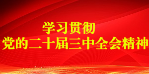 汽车内饰用聚醚在制备汽车顶棚衬里和车门板中的应用