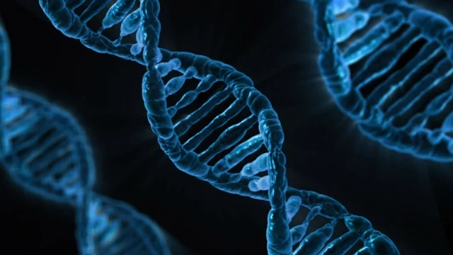 开发用于高性能热塑性聚氨酯弹性体（tpu）的高分子量聚醚多元醇