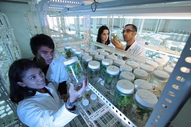 叔胺聚氨酯催化剂bl-17在制备高回弹、高弹性聚氨酯软泡中的应用与性能研究